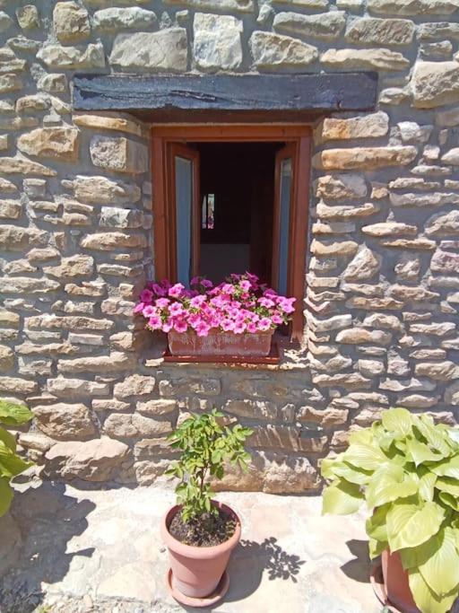 La Borda De Allue Huesca Exterior photo